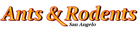 San Angelo Ant Exterminator & Rodent Control Company Logo